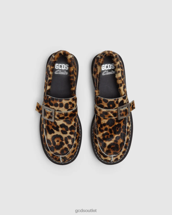 Men GCDS x Clarks Leopard loafers Multicolor 0FVX179